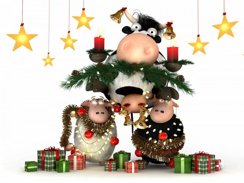navidad-de-obejas-_800.jpg