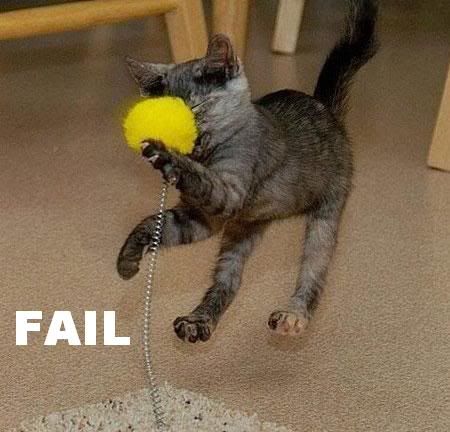 128347587844687500fail.jpg