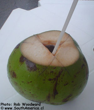 Agua_de_Coco.jpg