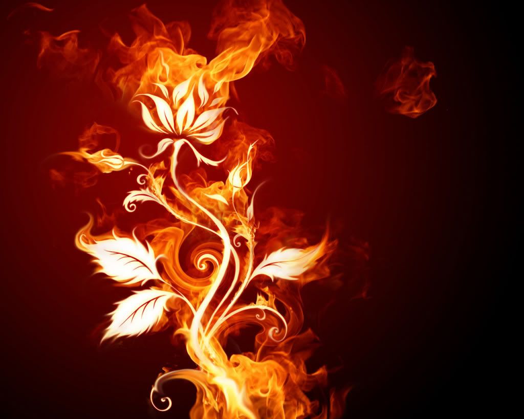 fiery_flower.jpg