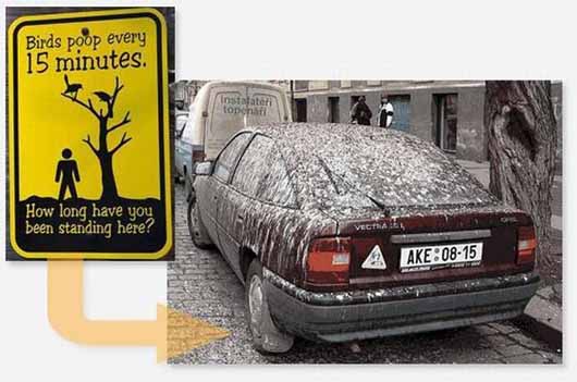 seniales_extranias1-119b0ea.jpg