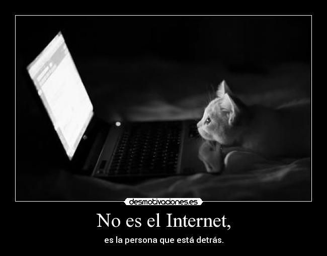 gatito_9.jpg