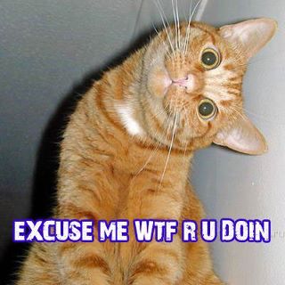 tumblr_lueu1fYhST1qfml1ho1_400.jpg