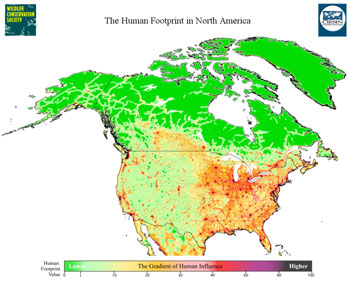 2005-11-16_footprint.jpg