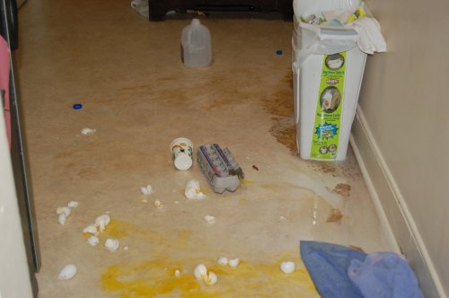 tumblr_l2dz2wntsA1qbotufo1_500.jpg