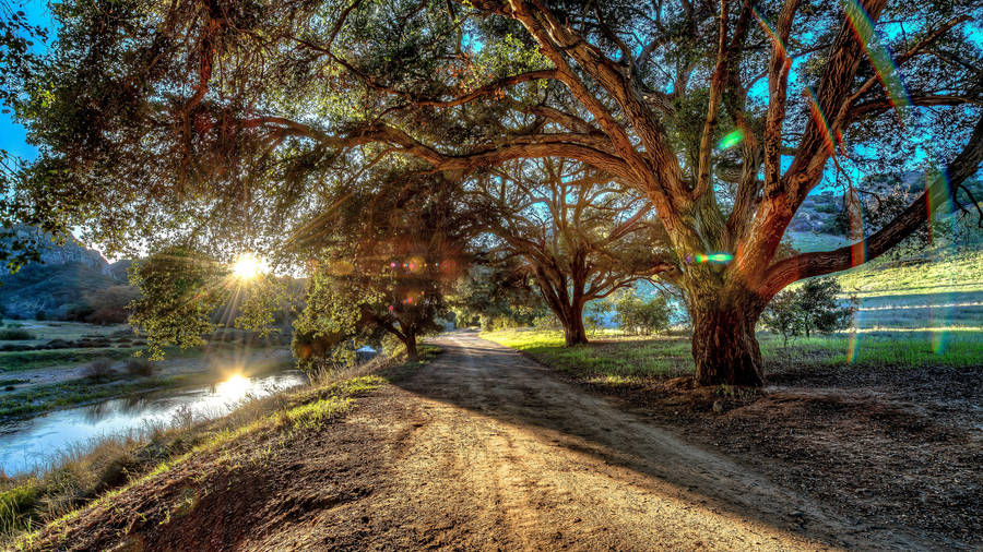 i1383782_92-best-hq-wallpaper-collection.jpg