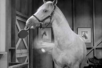 mister_ed.jpg