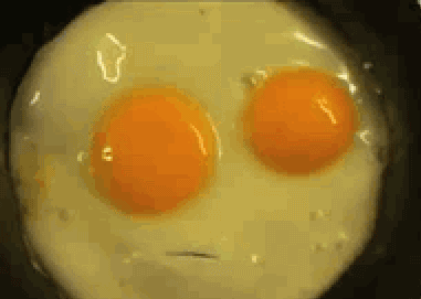 tumblr_lu3juzji2g1r09y60o1_400.gif