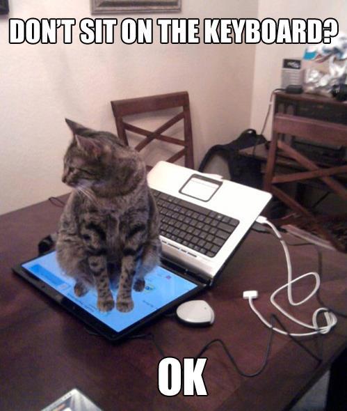 tumblr_m4q1bs15wP1ruxyf7o1_500.jpg