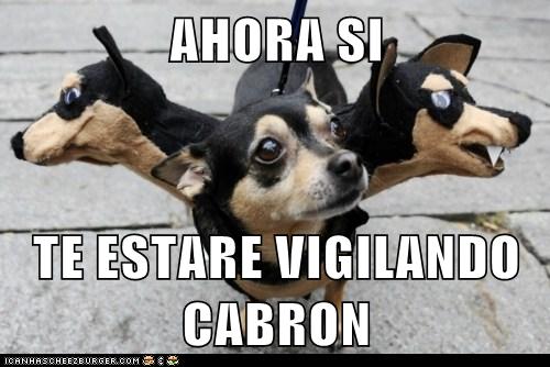1d__XAbQIUuNU-u8UK1Y-Q2.jpg