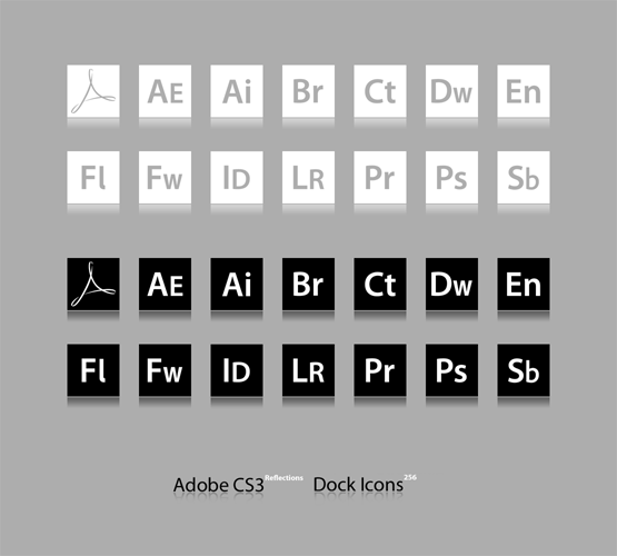 Adobe_CS3_Reflections_by_a_RIP.png