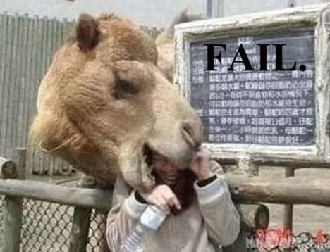 011_fail.jpg