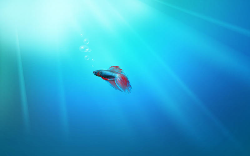 Windows_7_official_wallpaper_by_deskmundo.jpg