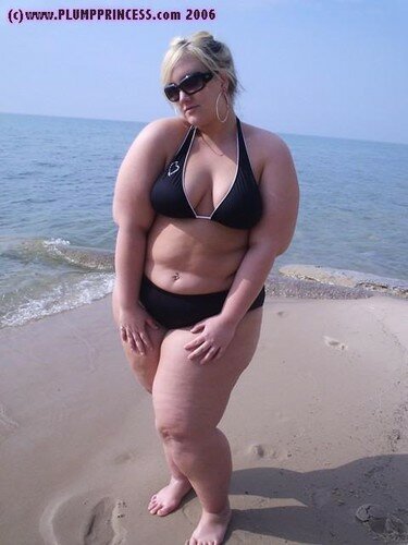 11071546_m.jpg