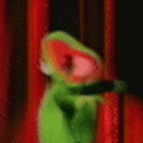 tumblr_m1ytq3jtcW1qjehug.gif