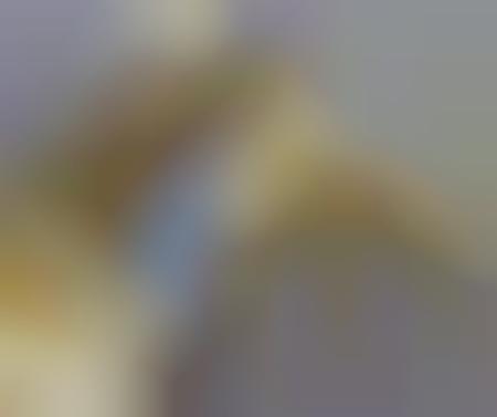 108978_1_600.jpeg