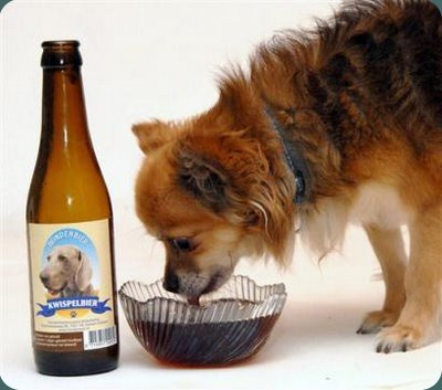 cerveza-perro.jpg