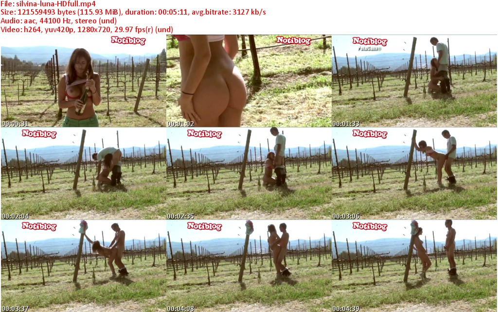 DNWTs.jpg
