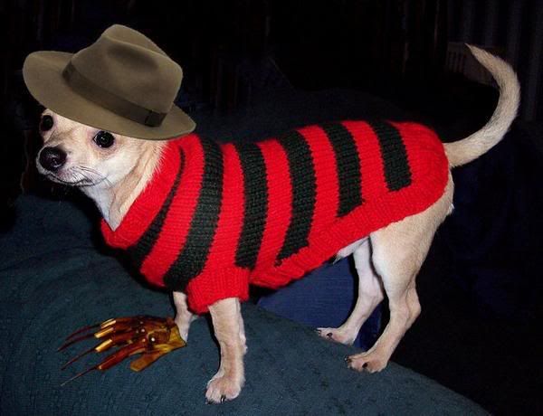 ChicoKrueger.jpg
