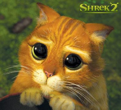 gato_shrek2.jpg