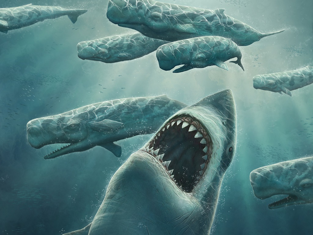 megalodon.jpg