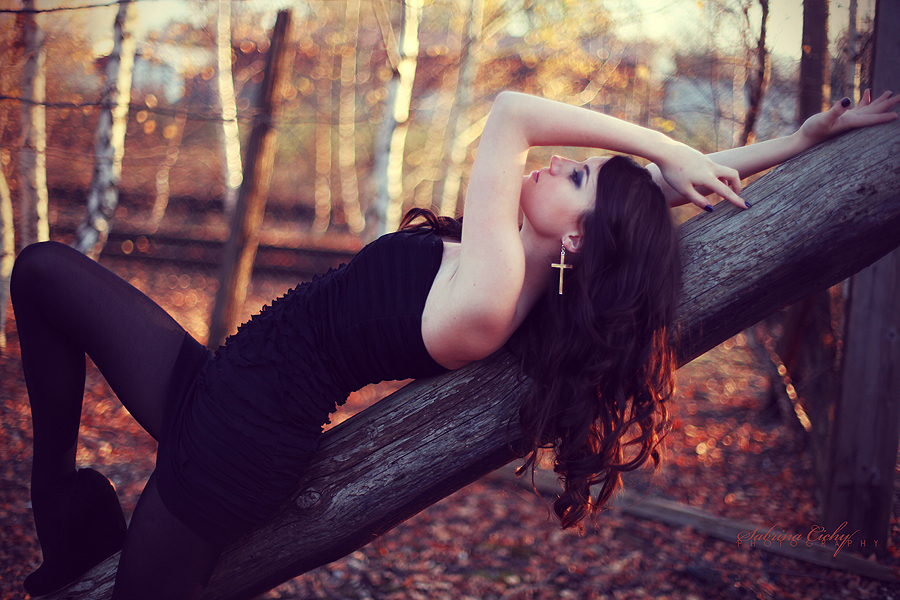 fall_by_suicide_bee-d4fy50q.jpg
