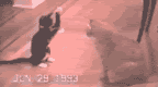 malo.gif