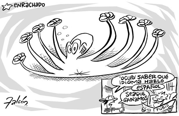 gdl-humor-falcon.jpg