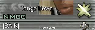 nmbadge.jpg