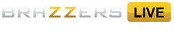 bzlsmlogoxs.png