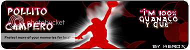 pollitocampero.png