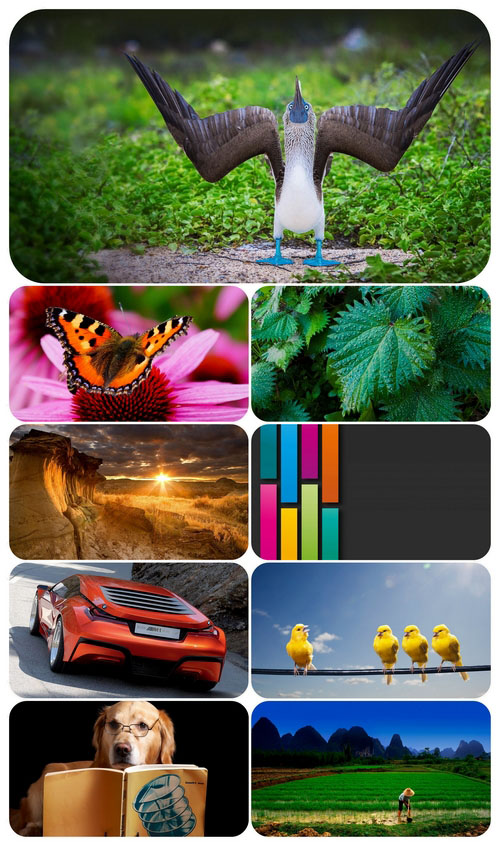 556be6e7279c012d2b8dbb72f57e8d62.jpg