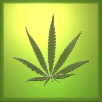 marihuana.jpg