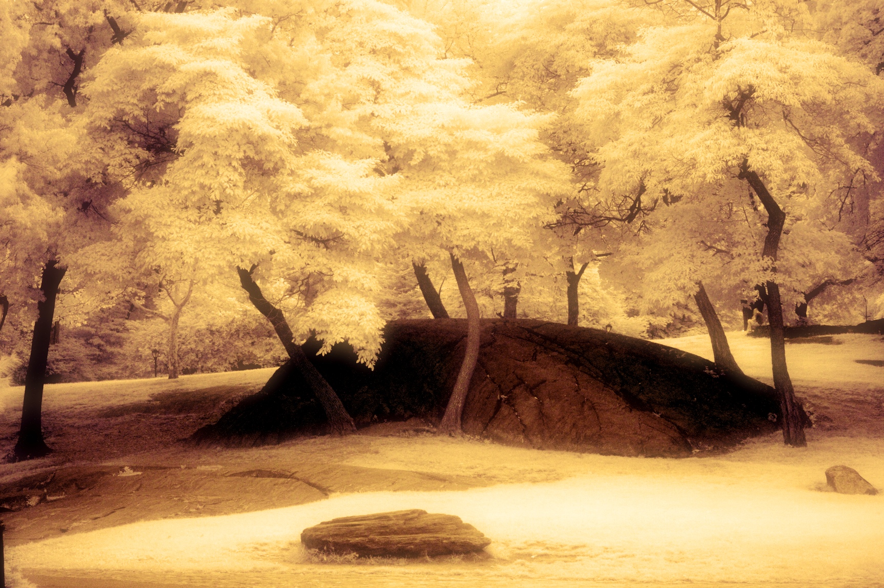nigel-infrared-068.jpg