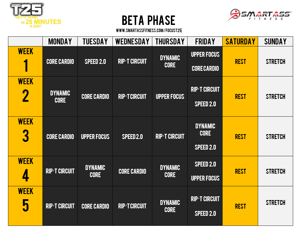 focus_t25_beta_schedule.png