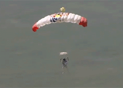 tumblr_mbwc54V95p1r42dwro8_250.gif