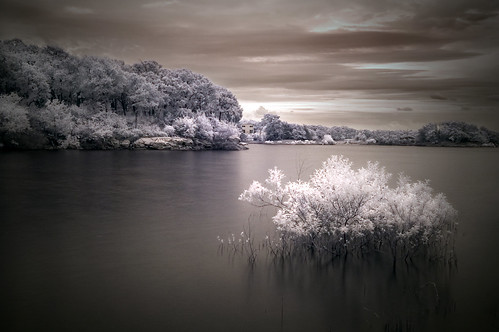 1342012304_e481558789.jpg