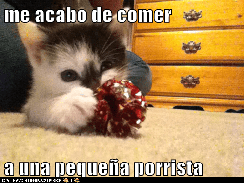0ae60d80-a469-462d-b240-a42fadb3b461.png