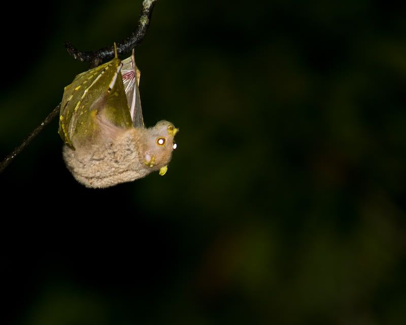 _DSC8554-2.jpg