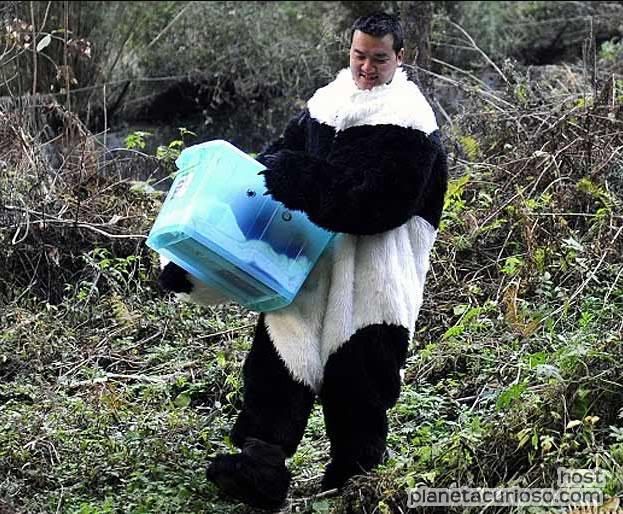 oso-panda-3.jpg