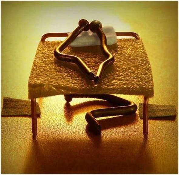 vida-secreta-de-los-clavos.jpg