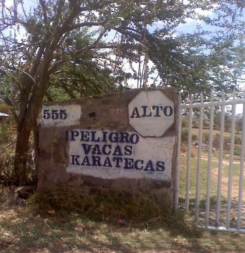 vacas-karatecas-tlatlaya-net.jpg
