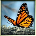 Ieq4KIe_aWzvYydnwatEPbeDbsQ_1xVbHQBtYqs5I511hpa3lhww9500isfVIVsYPQ=w124