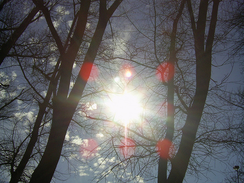 sol.jpg