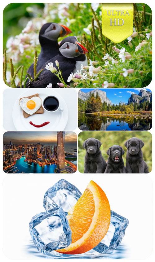 a72ad9ca1adcedbe1bad5054d4dfd94b.jpg