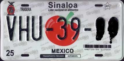 placa-sinaloa.jpg