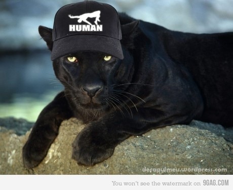 tumblr_lw5sncQxkJ1r89xj2o1_500.jpg