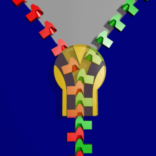 01.gif