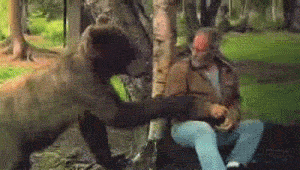 tumblr_li6nmezGNp1qfvthmo1_400.gif