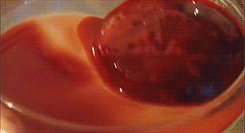 tumblr_mbo6vza40k1qlvt53o7_r1_250.gif